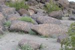 PICTURES/Painted Rock Petroglyph Site/t_P1000168.JPG